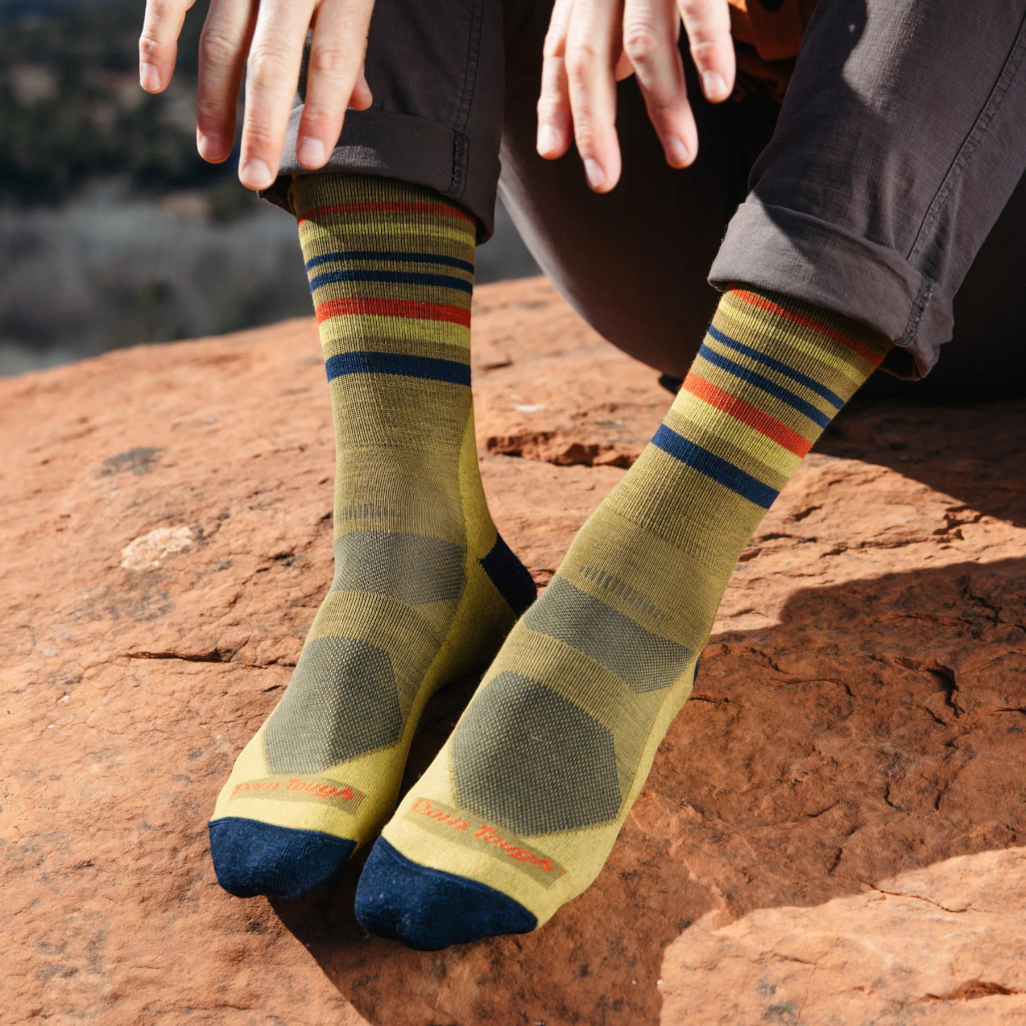 Darn Tough Men's Fastpack Micro Crew Lightweight Hiking Socks - FERAL