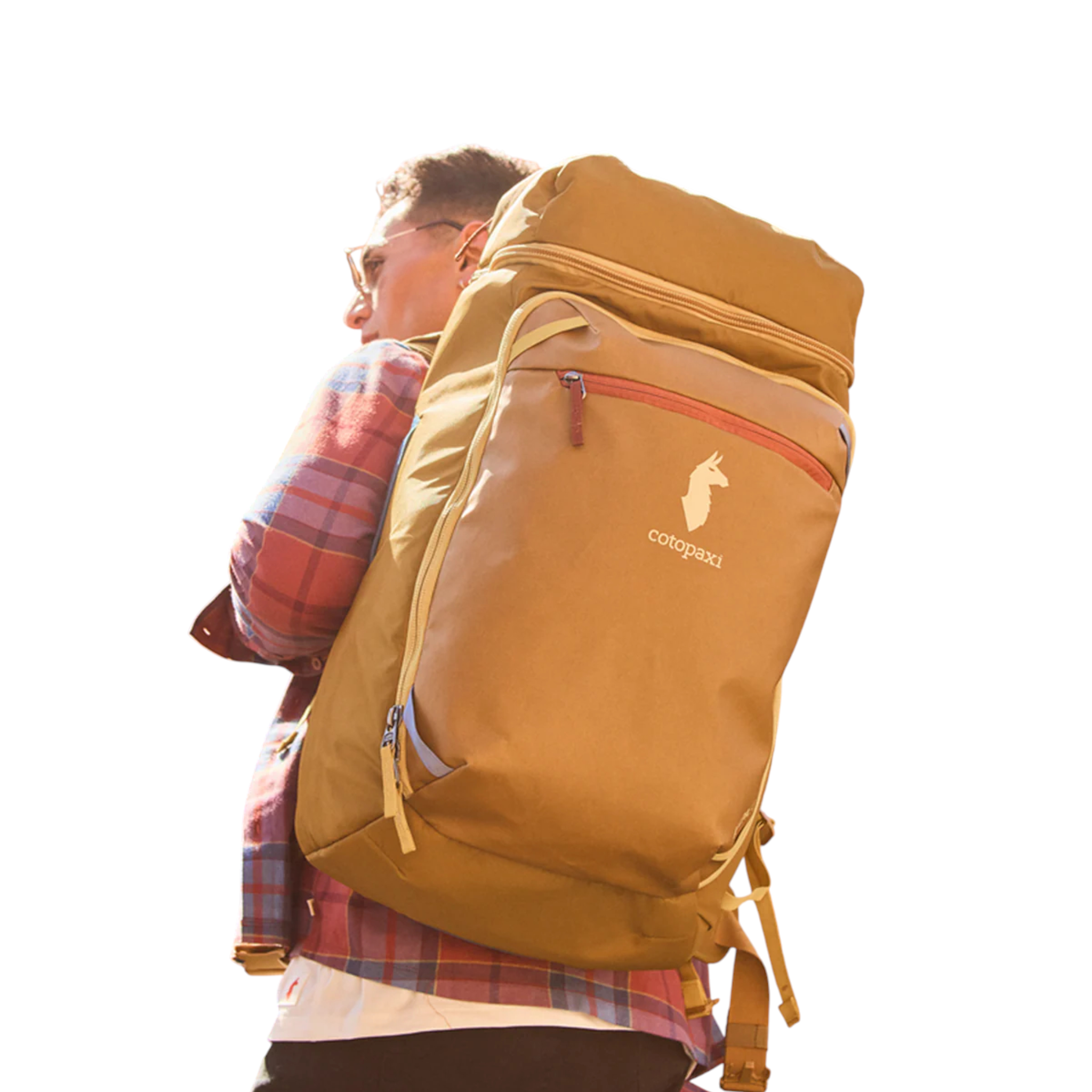 Cotopaxi Allpa 50L Adventure Travel Pack - FERAL