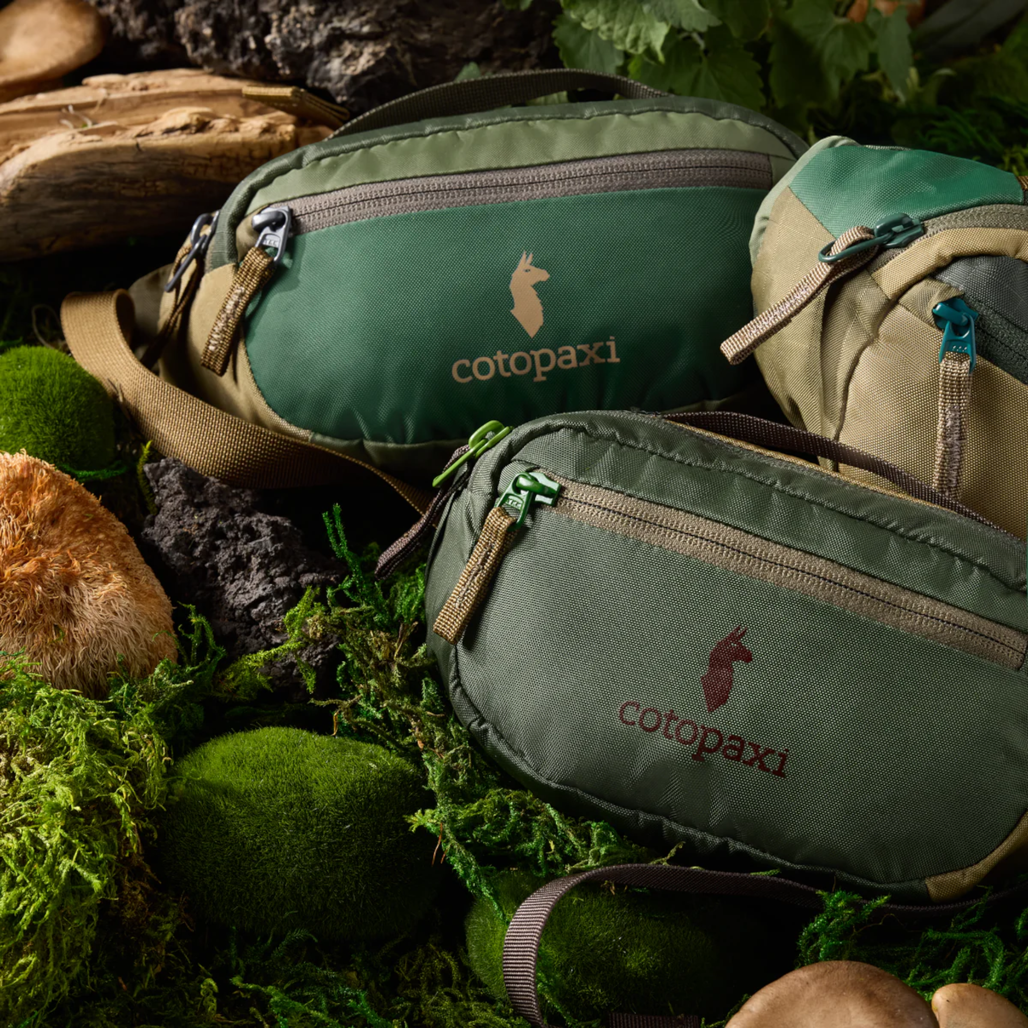 Cotopaxi Kapai 1.5L Hip Pack - FERAL