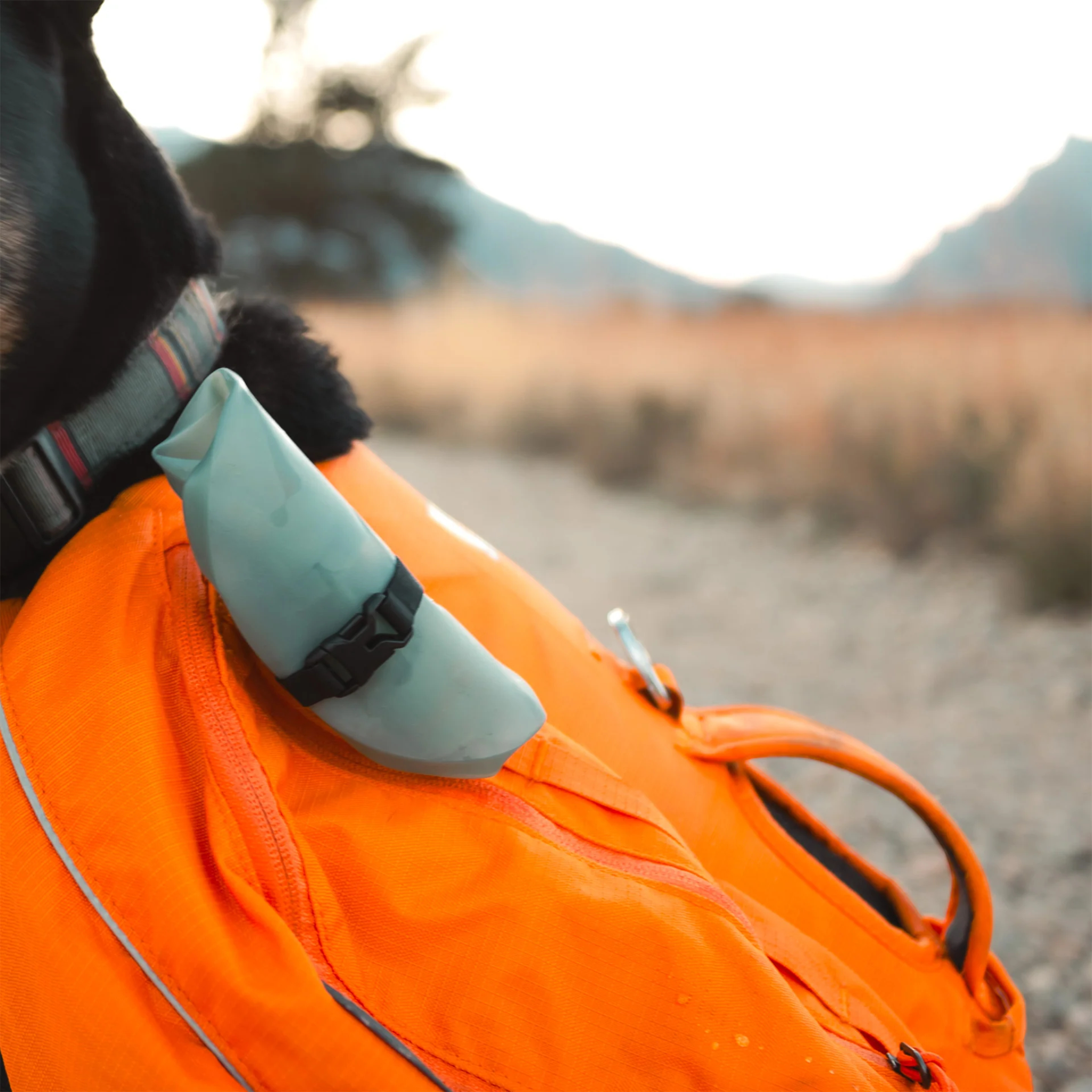 HydraPak Rover Dog Bowl - FERAL