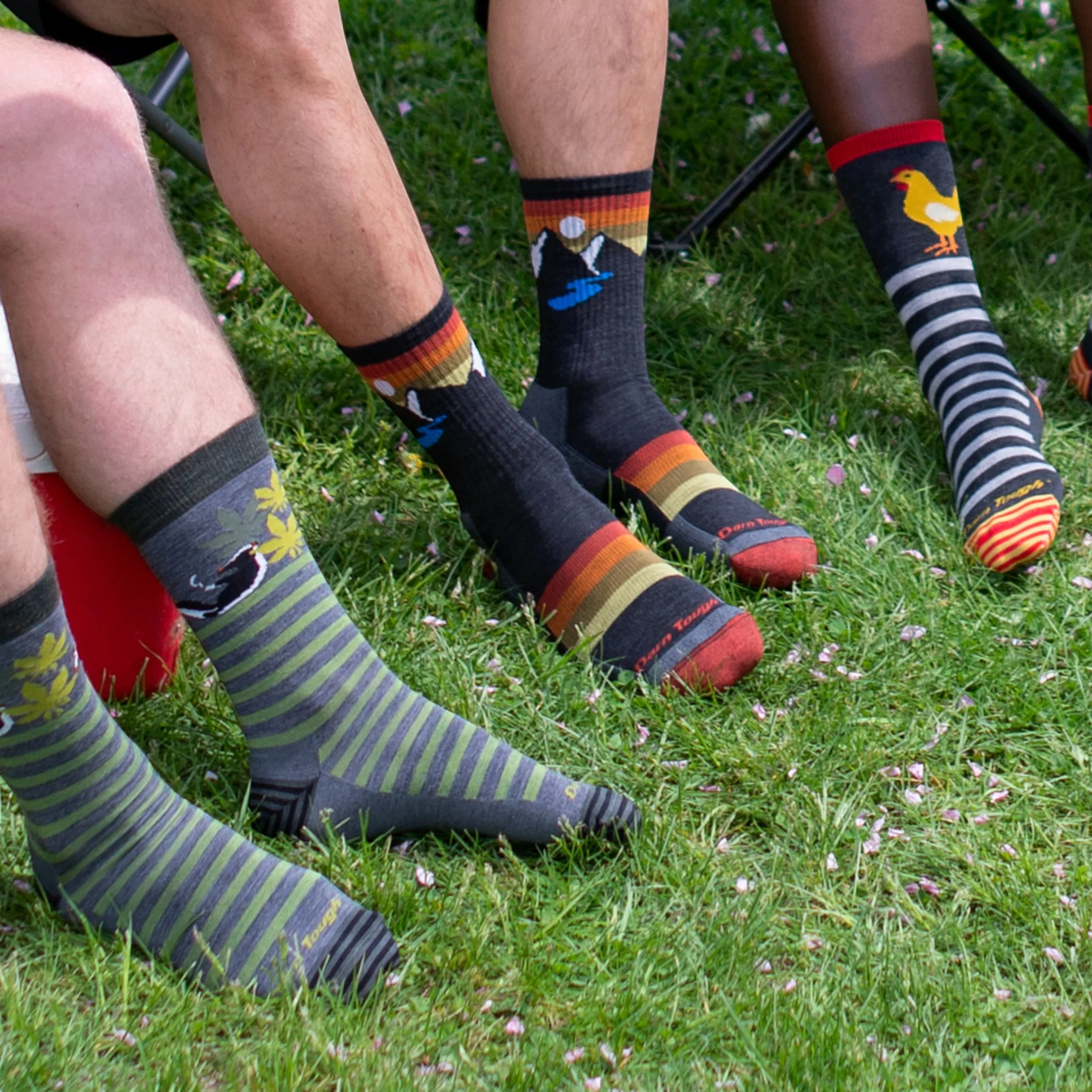 Darn Tough Sunset Ridge Micro Crew Lightweight Hiking Socks - FERAL