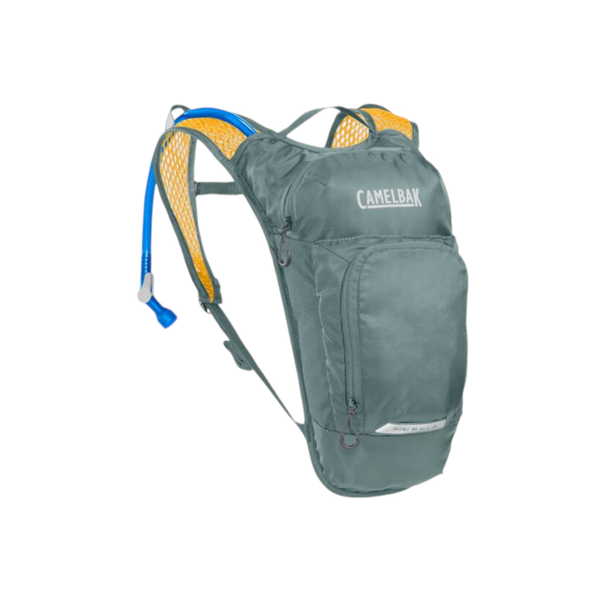 CamelBak Kids' Mini Mule Hydration Pack 50 oz. - FERAL