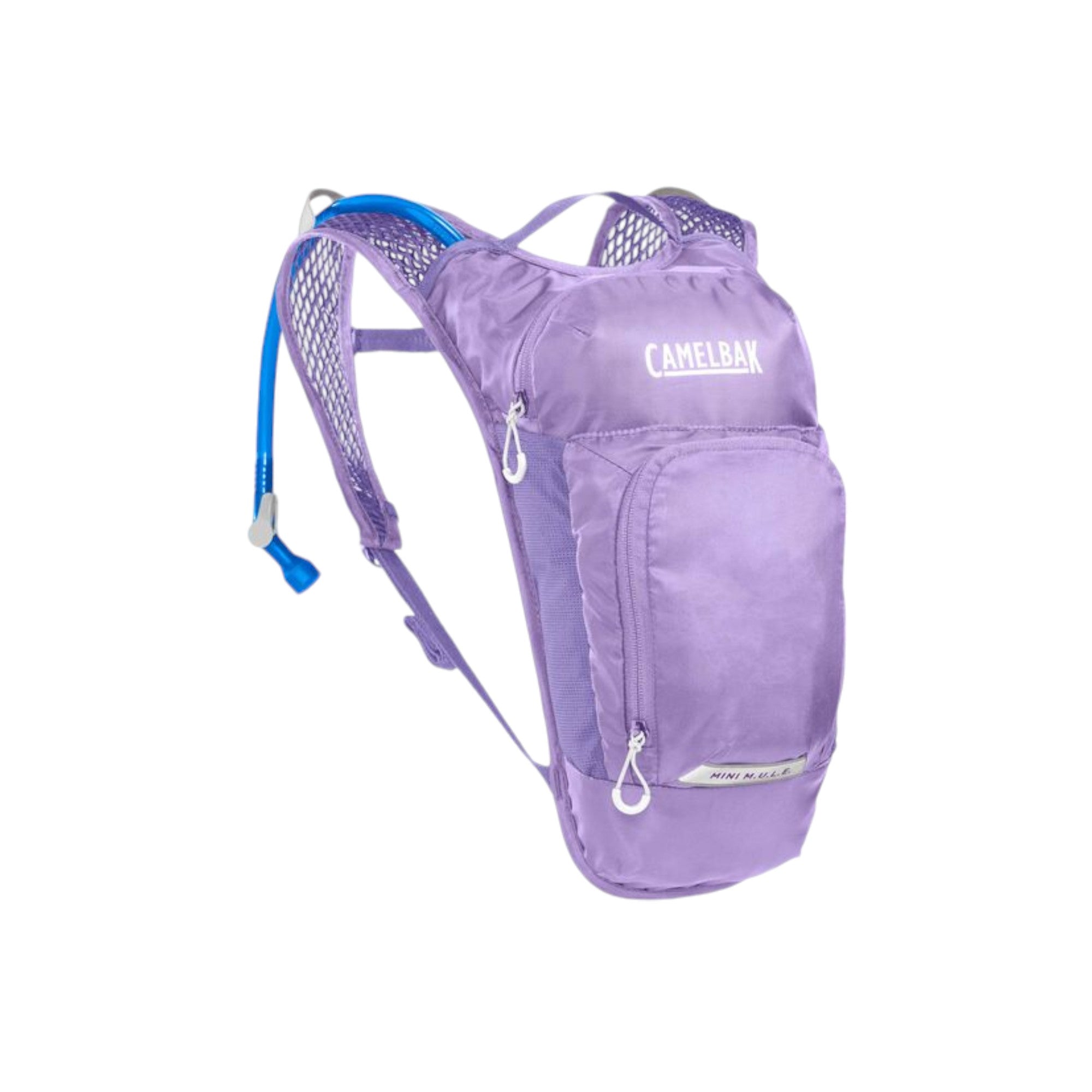 CamelBak Kids' Mini Mule Hydration Pack 50 oz. - FERAL