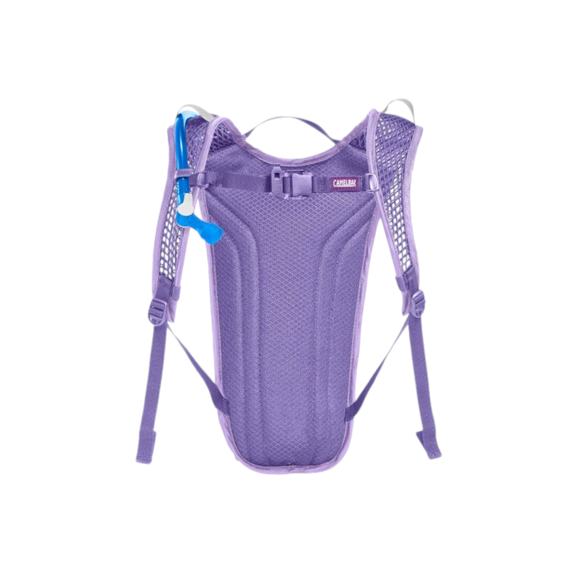 CamelBak Kids' Mini Mule Hydration Pack 50 oz. - FERAL