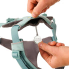 Ruffwear Front Range Dog Harness - FERAL