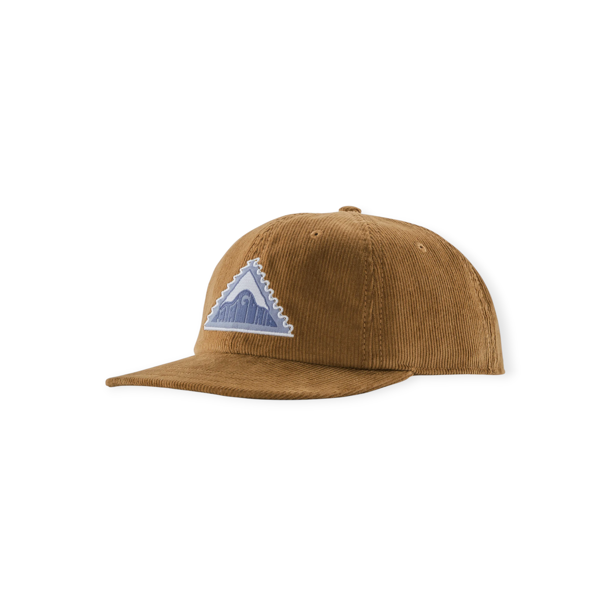 Patagonia Corduroy Cap - FERAL