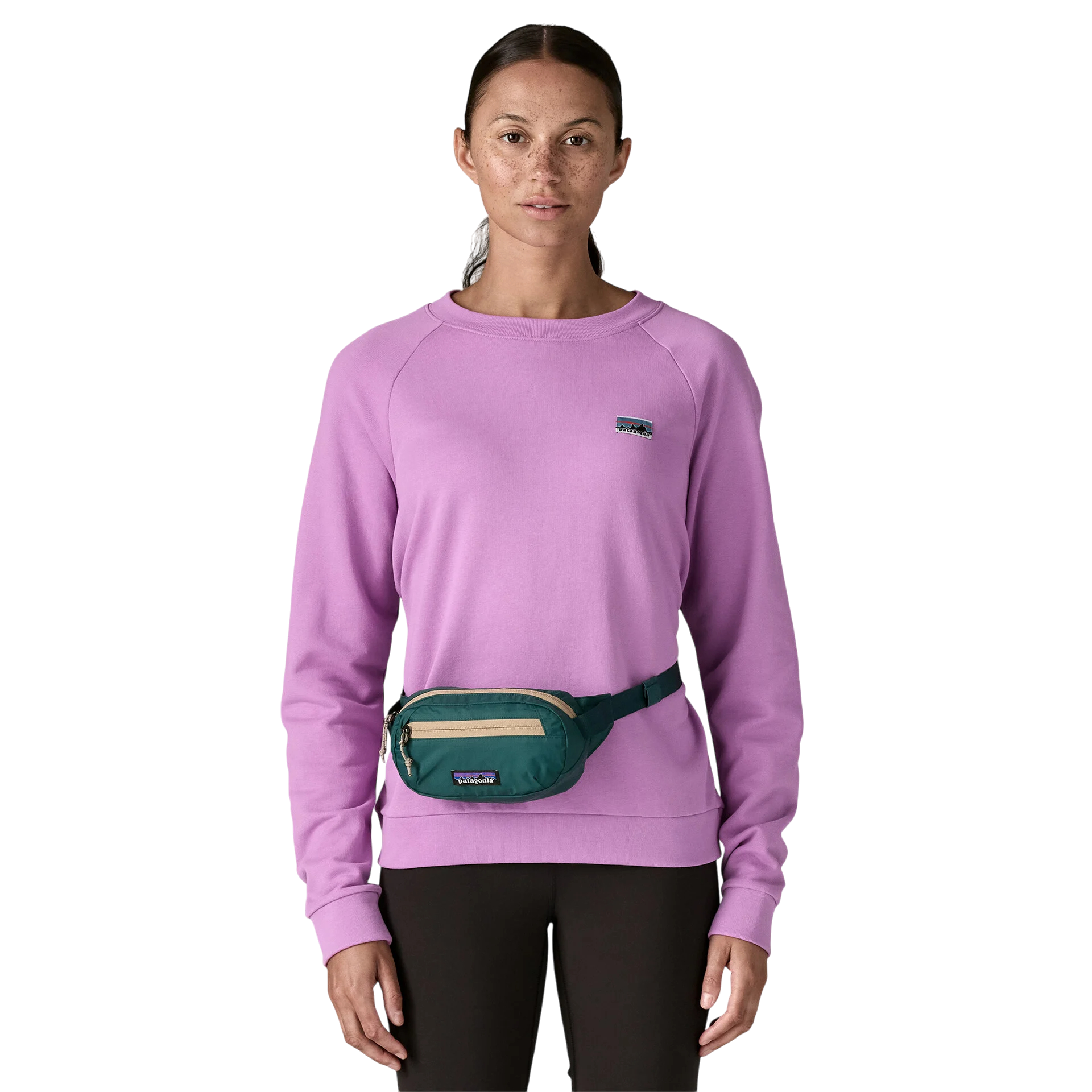 Patagonia Terravia Mini Hip Pack 1L - FERAL