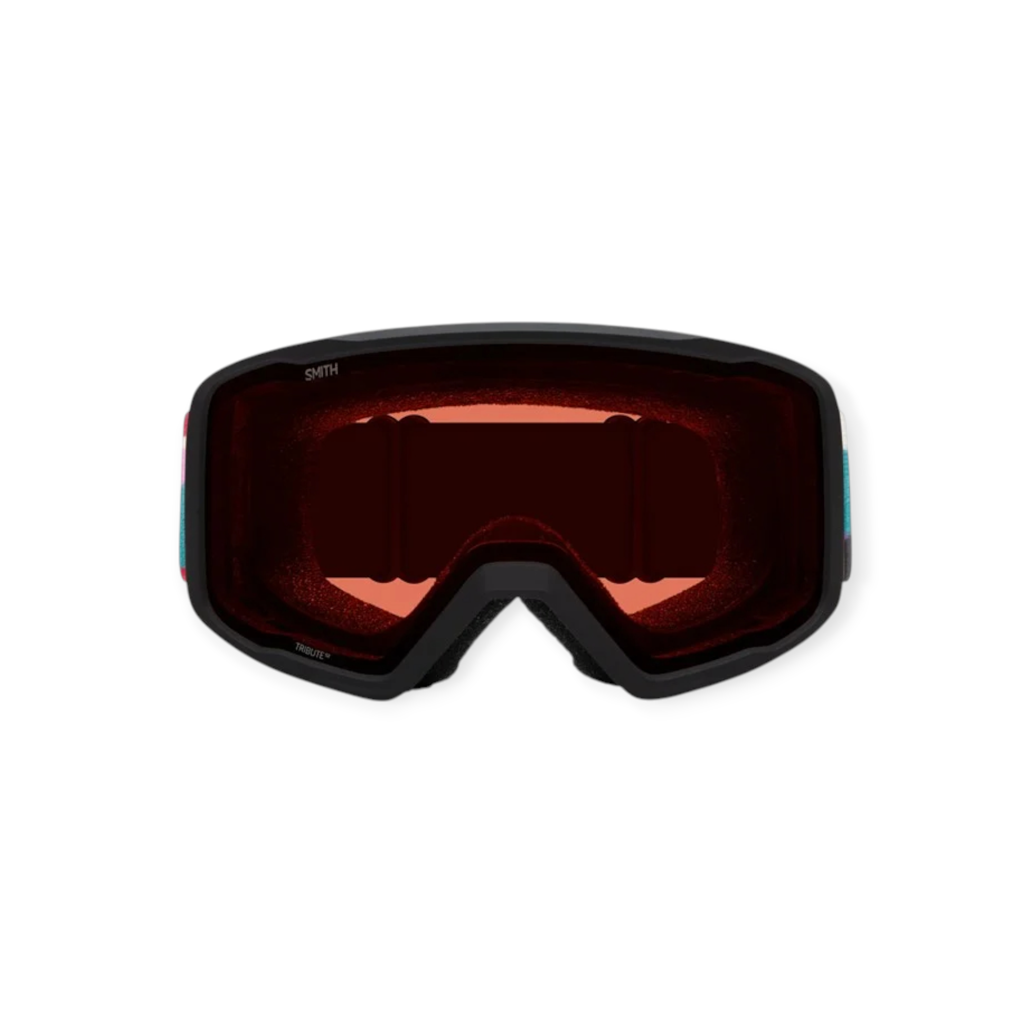 Smith Tribute Ski Goggles - FERAL
