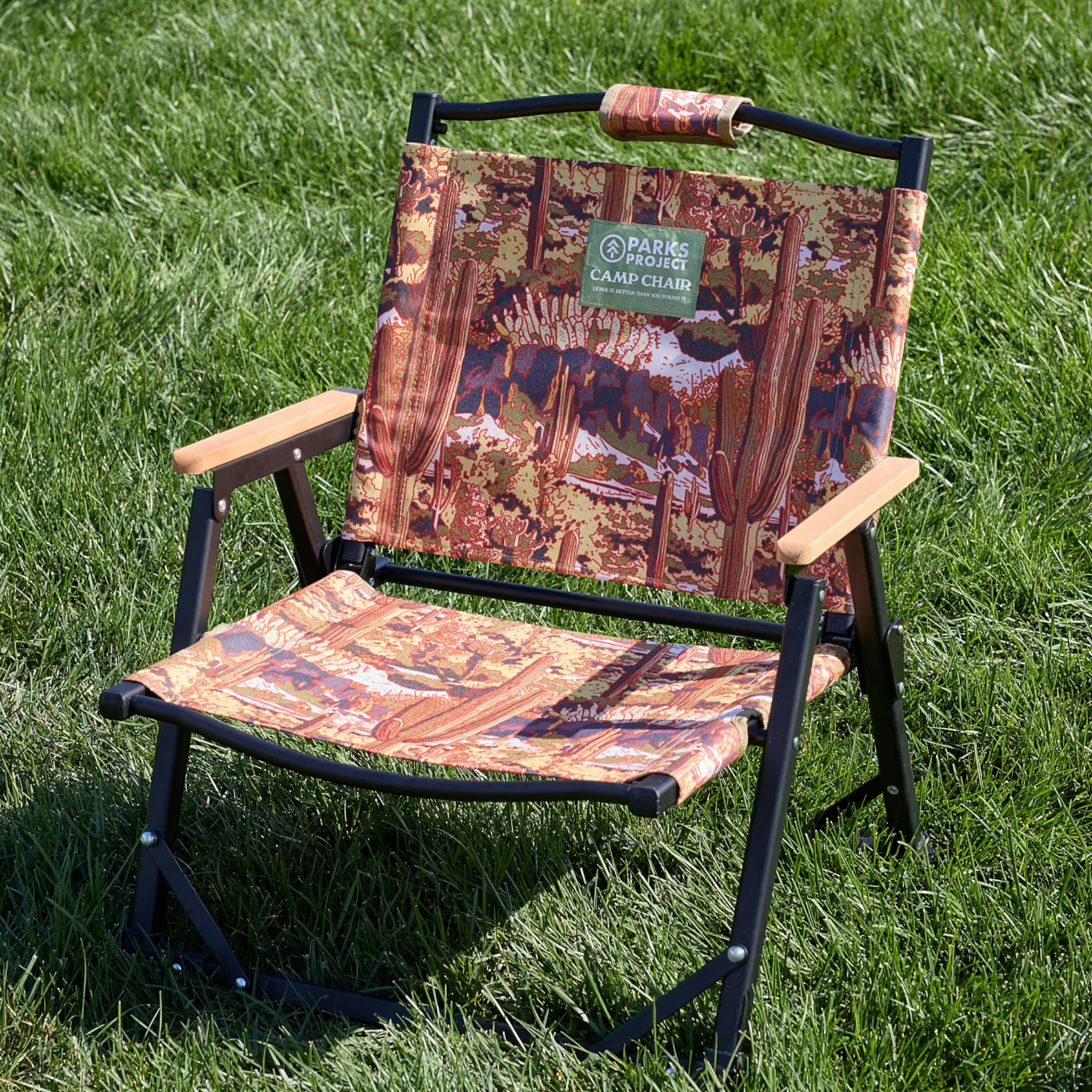 Parks Project Saguaro Cacti Fold Up Chair - FERAL
