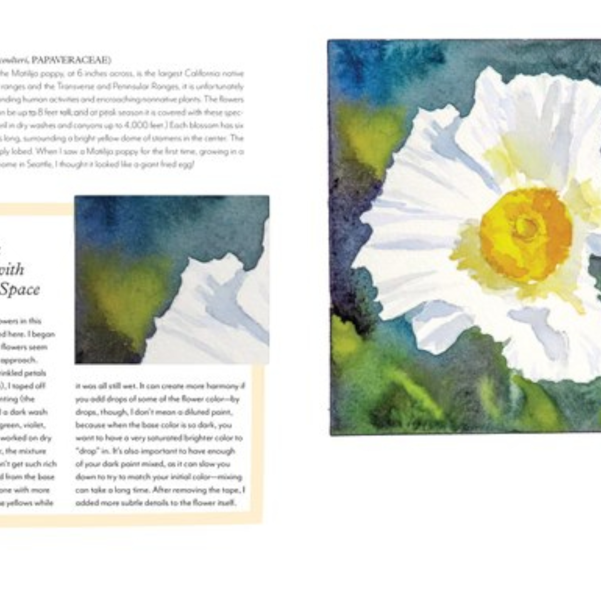 Wildflowers of the West: An Artist's Guide - FERAL