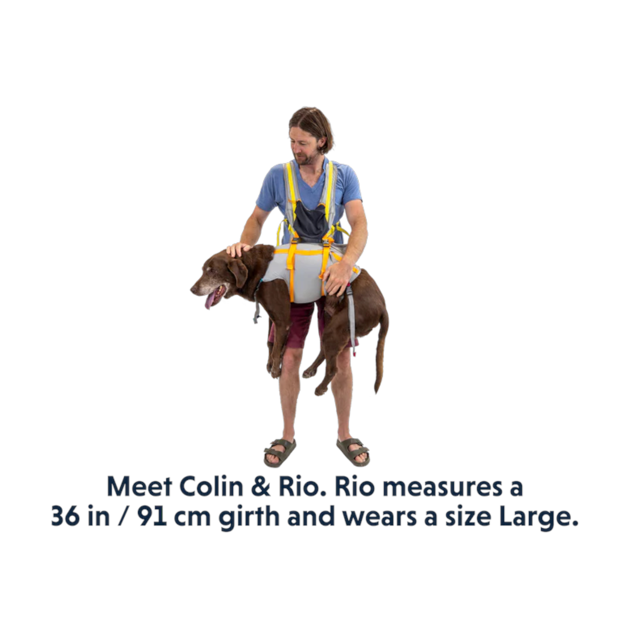 Ruffwear BackTrak Dog Evacuation Kit - FERAL