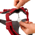 Ruffwear Front Range Dog Harness - FERAL