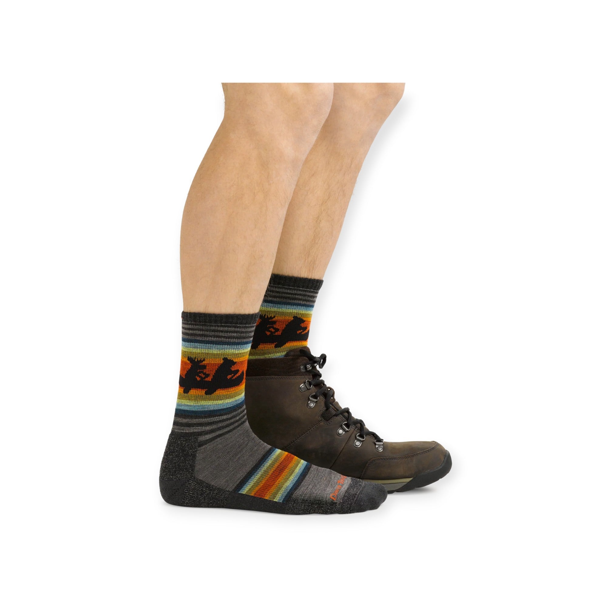 Darn Tough Willoughby Micro Crew Lightweight with Cushions Socks - FERAL