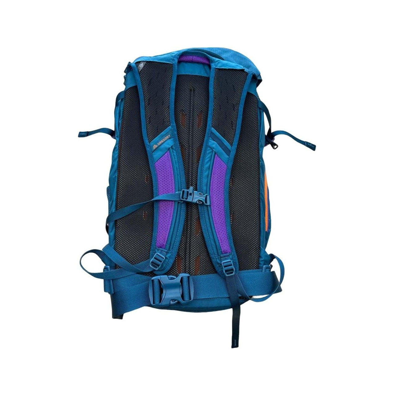 Gregory Nano 30L Backpack Icon Teal Used - FERAL