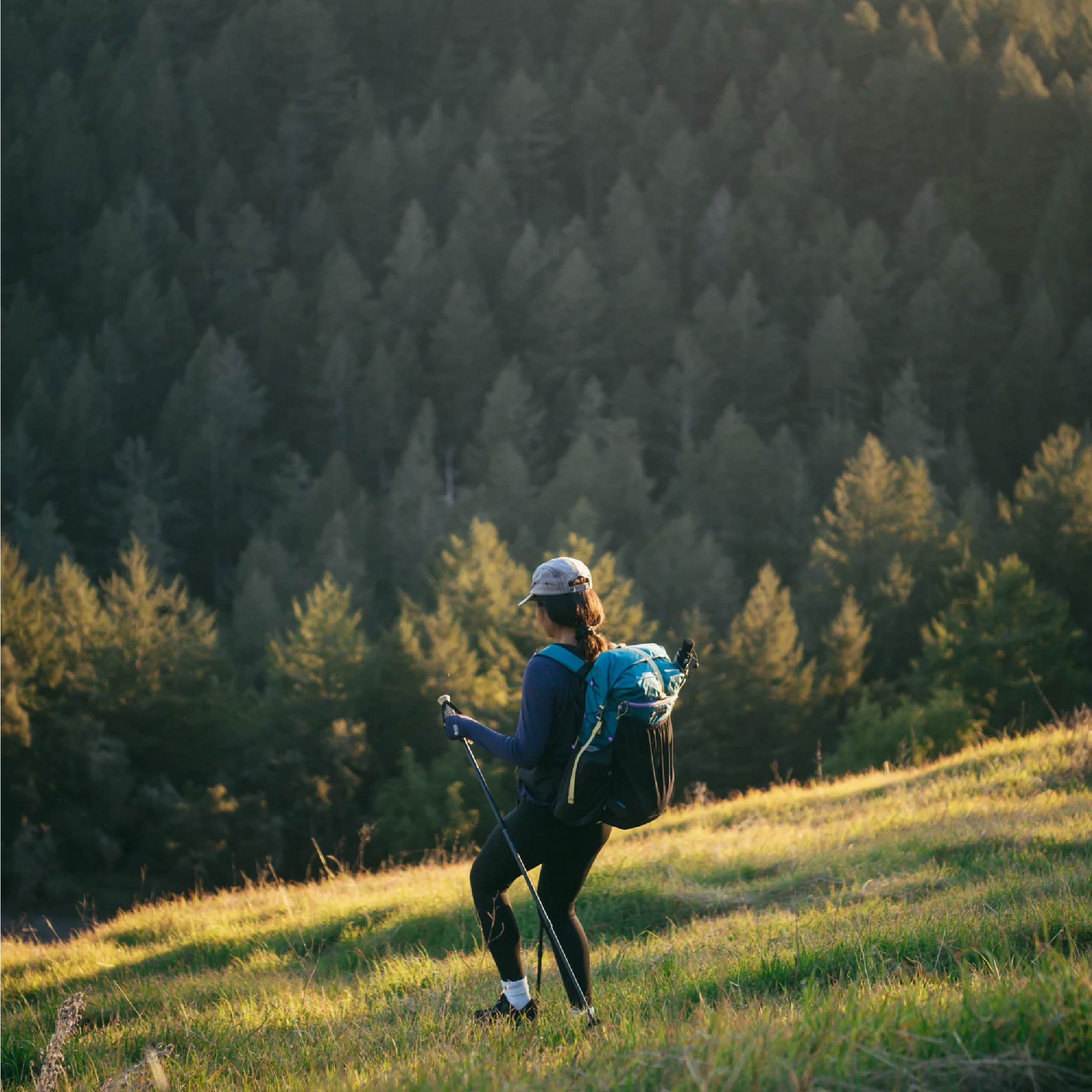 Gossamer Gear G4-20 Ultralight Backpack - FERAL
