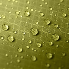 NEMO Hornet OSMO 2 Person Tent - FERAL