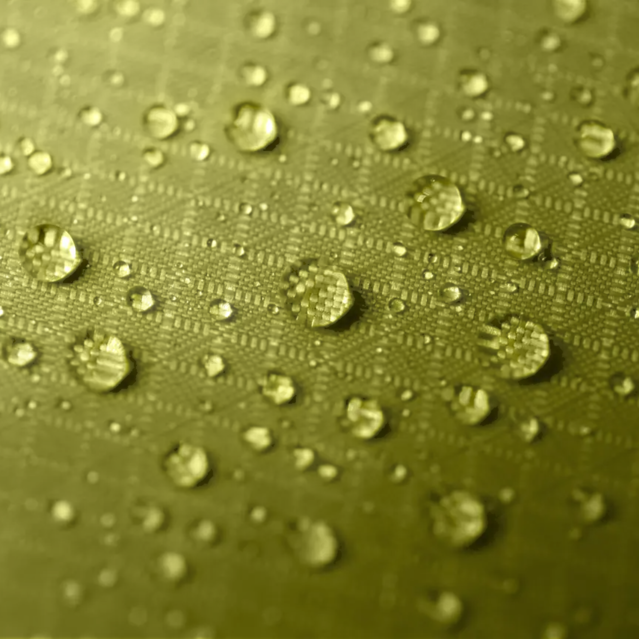 NEMO Hornet OSMO 2 Person Tent - FERAL