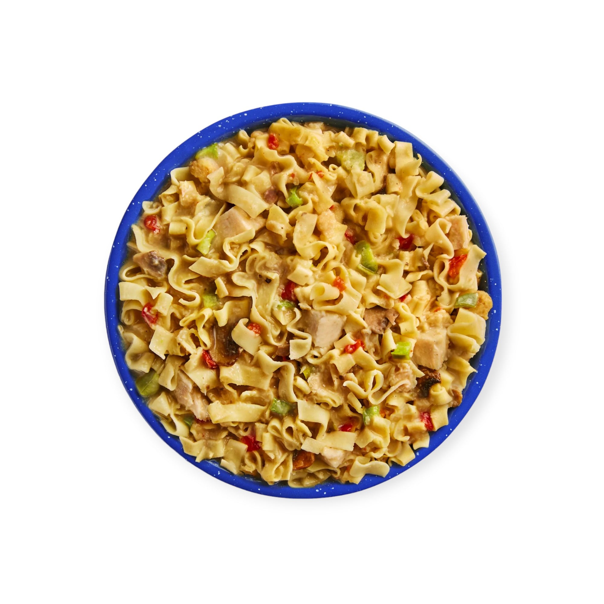 Mountain House Homestyle Chicken Noodle Casserole Freeze-Dried Meal - FERAL