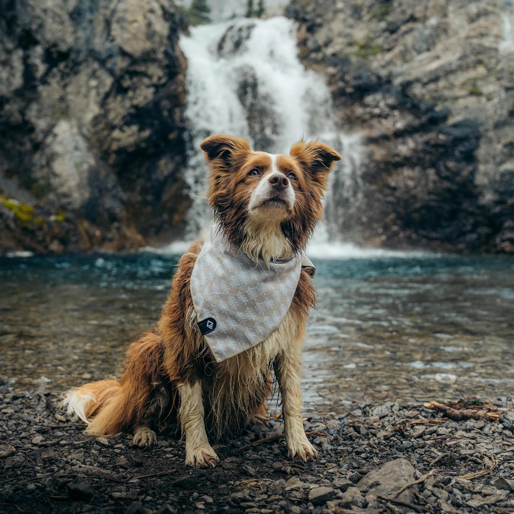 Nomadix Bandana Towel - FERAL