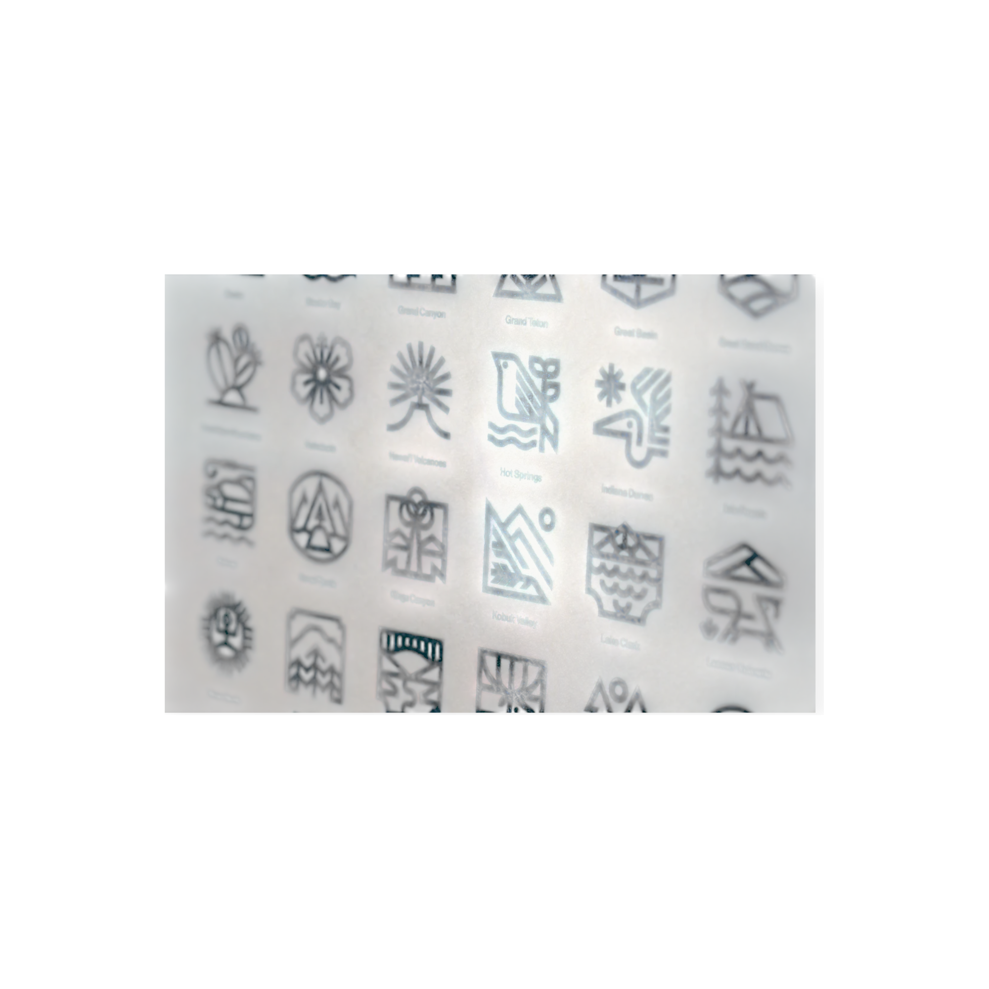 Oxford Pennant x Steve Wolf National Parks Camp Flag - FERAL