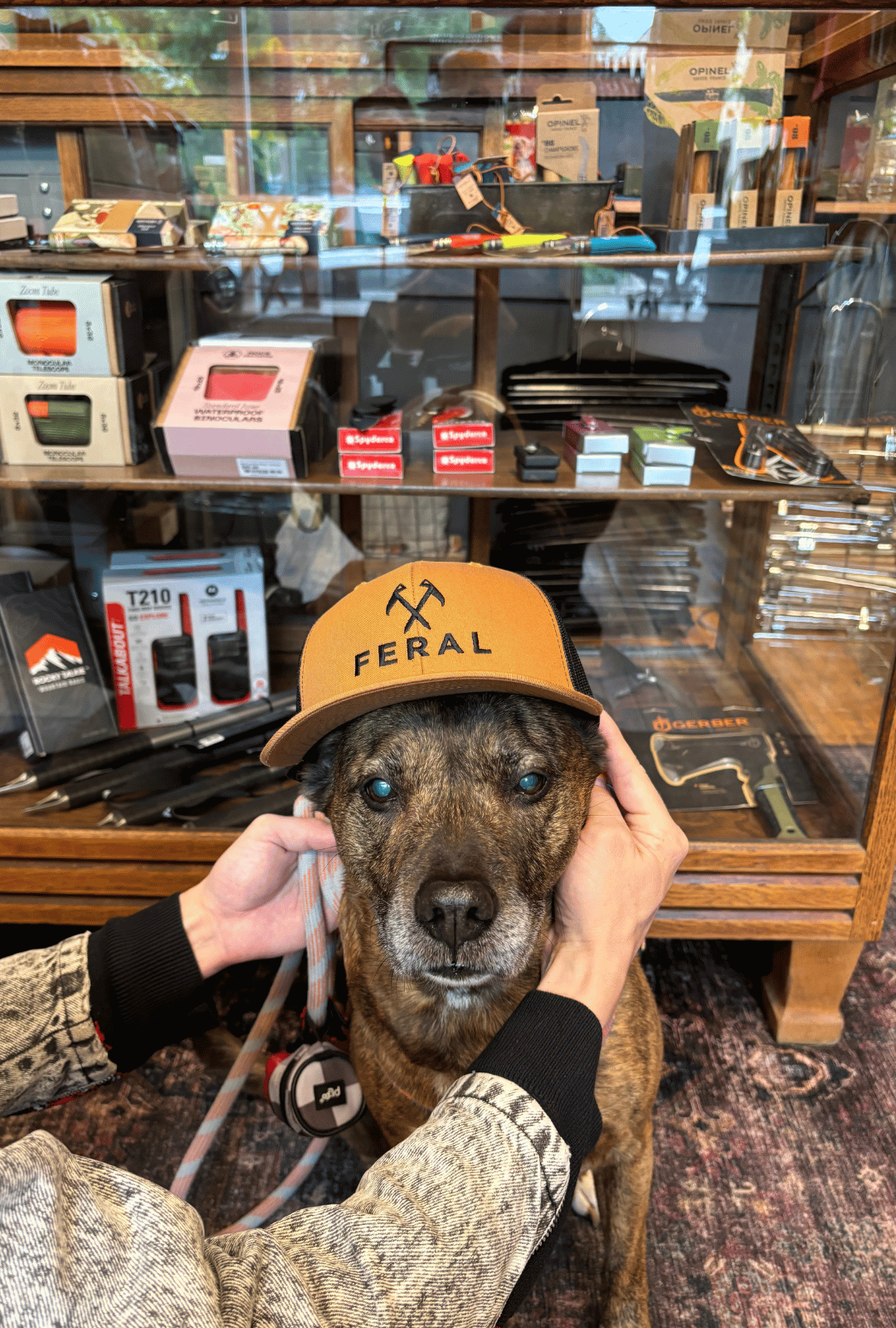 Work at FERAL - Adventure Dog Friendly