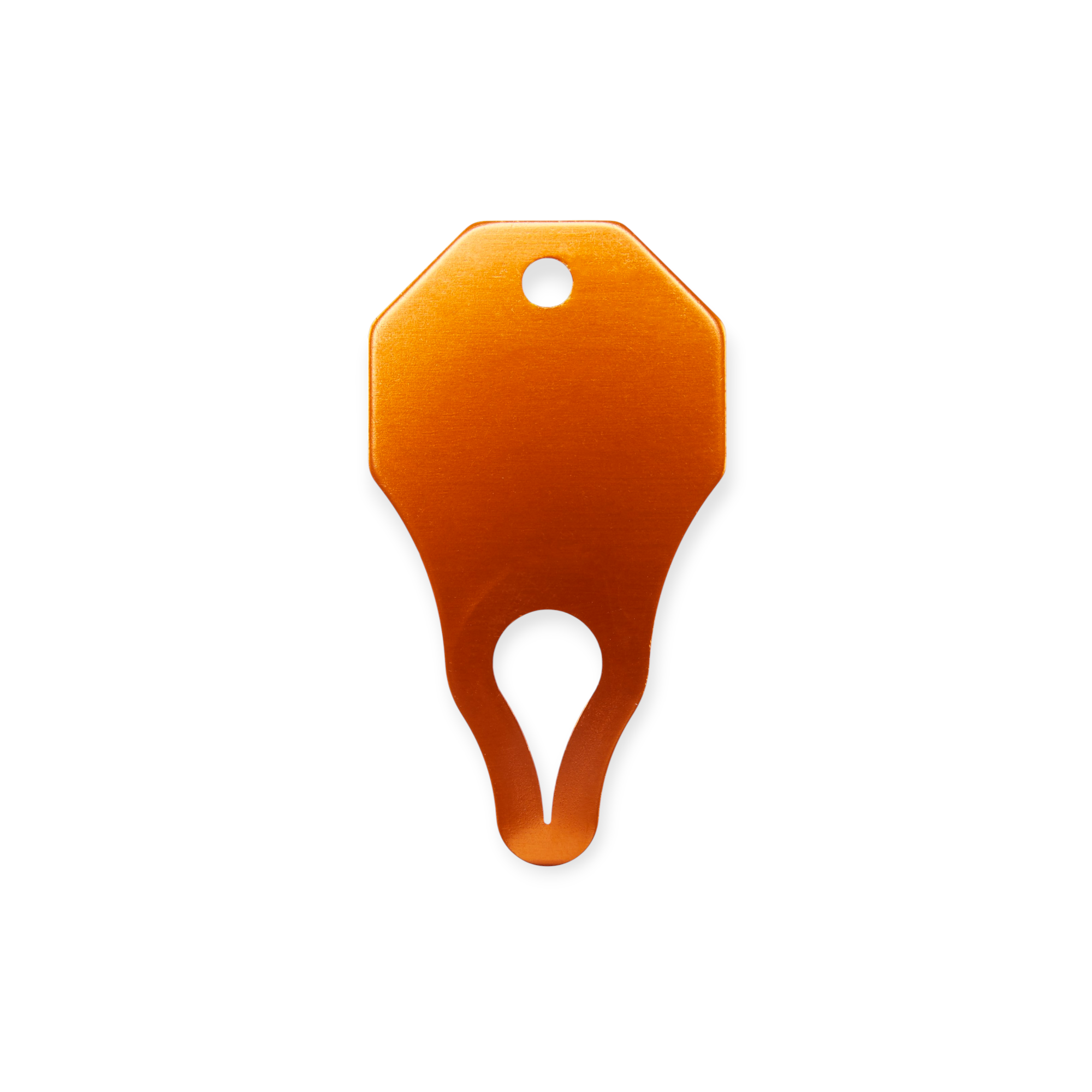 The Tick Patrol - FERAL