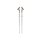Black Diamond Pursuit Trekking Poles - FERAL