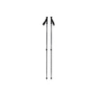 Black Diamond Explorer 2 Trekking Poles - FERAL