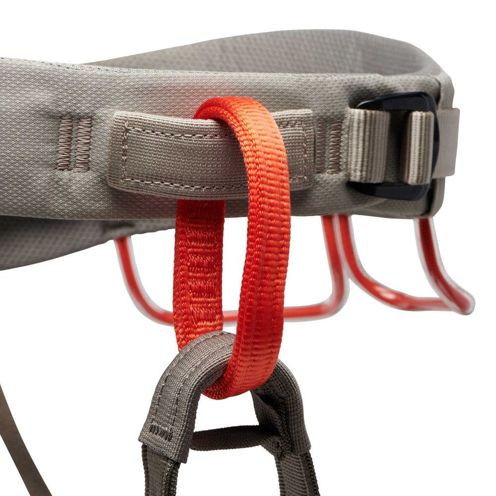 Black Diamond Men's Momentum Climbing Harness - FERAL
