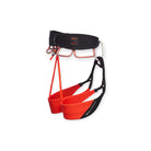 Black Diamond Women's Zone Climbing Harness - FERAL