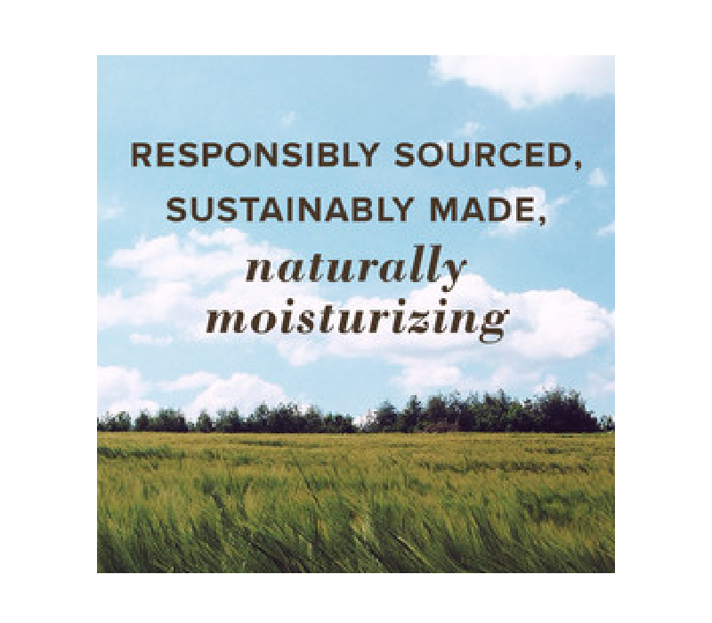 Burt's Bees Medicated Lip Balm .15 oz. - FERAL