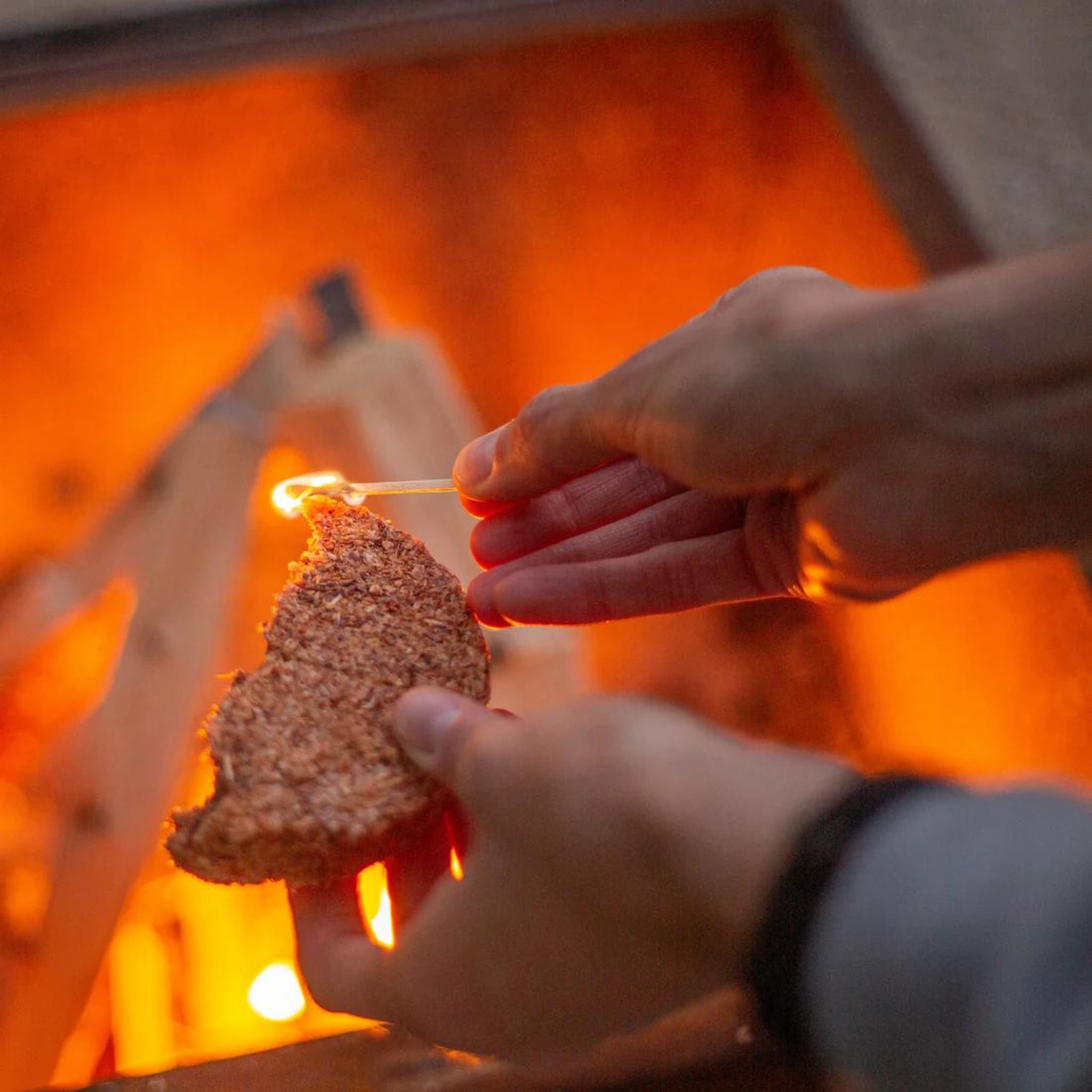 Coghlan's Fire Disc - FERAL