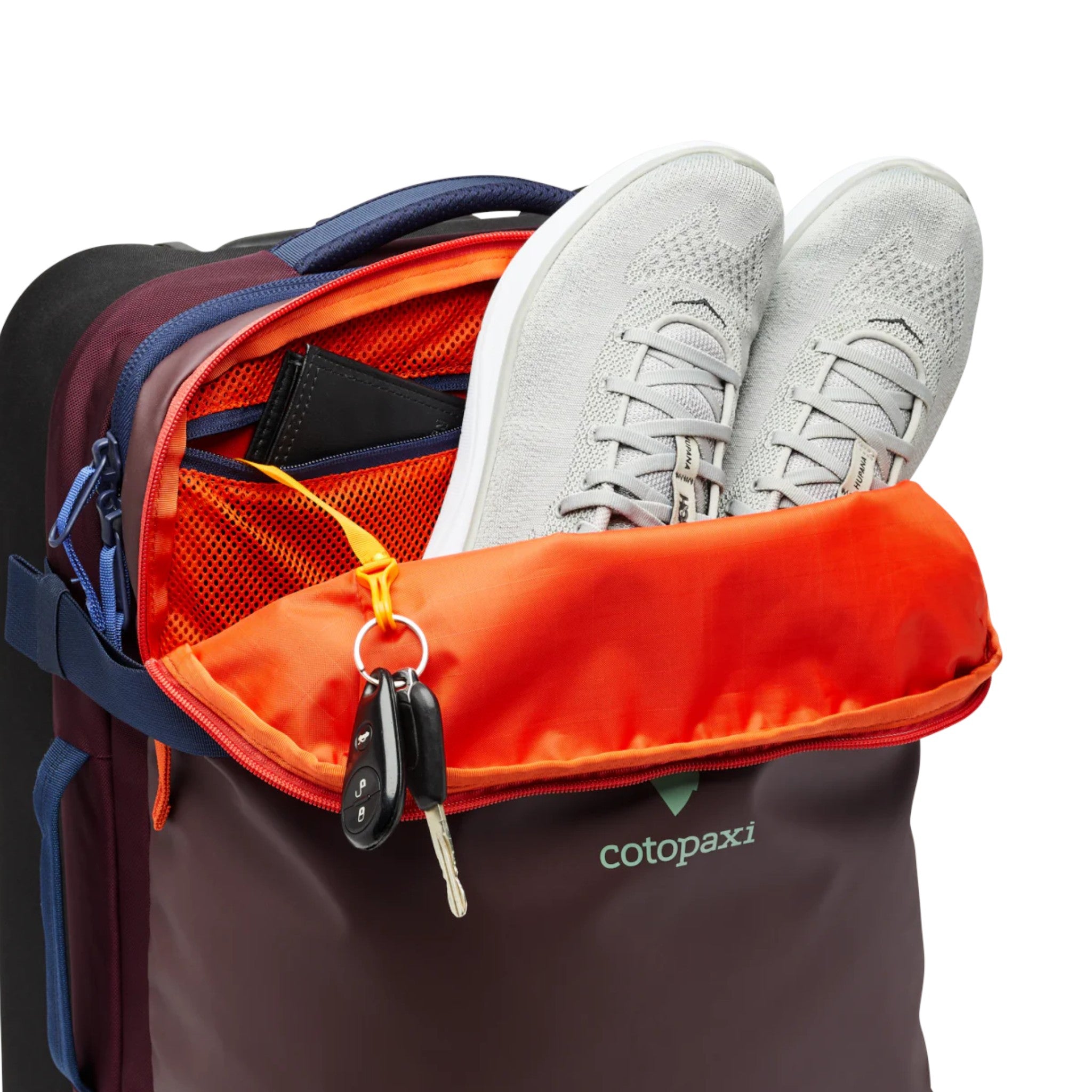 Cotopaxi Allpa 38L Roller Bag - FERAL