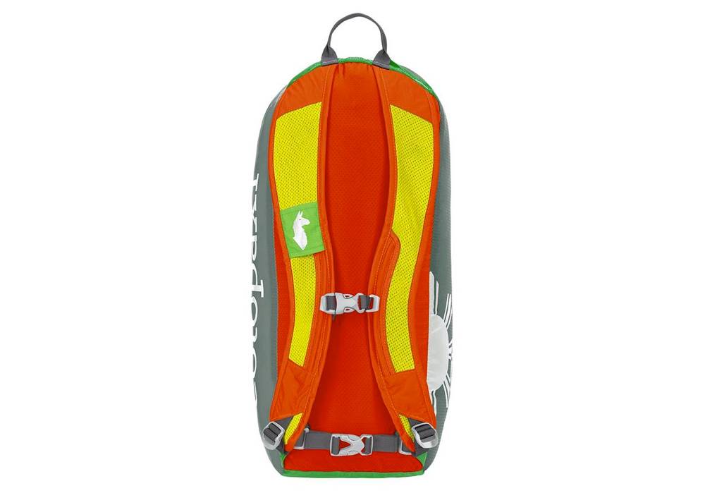 Cotopaxi Luzon 18L Daypack - FERAL