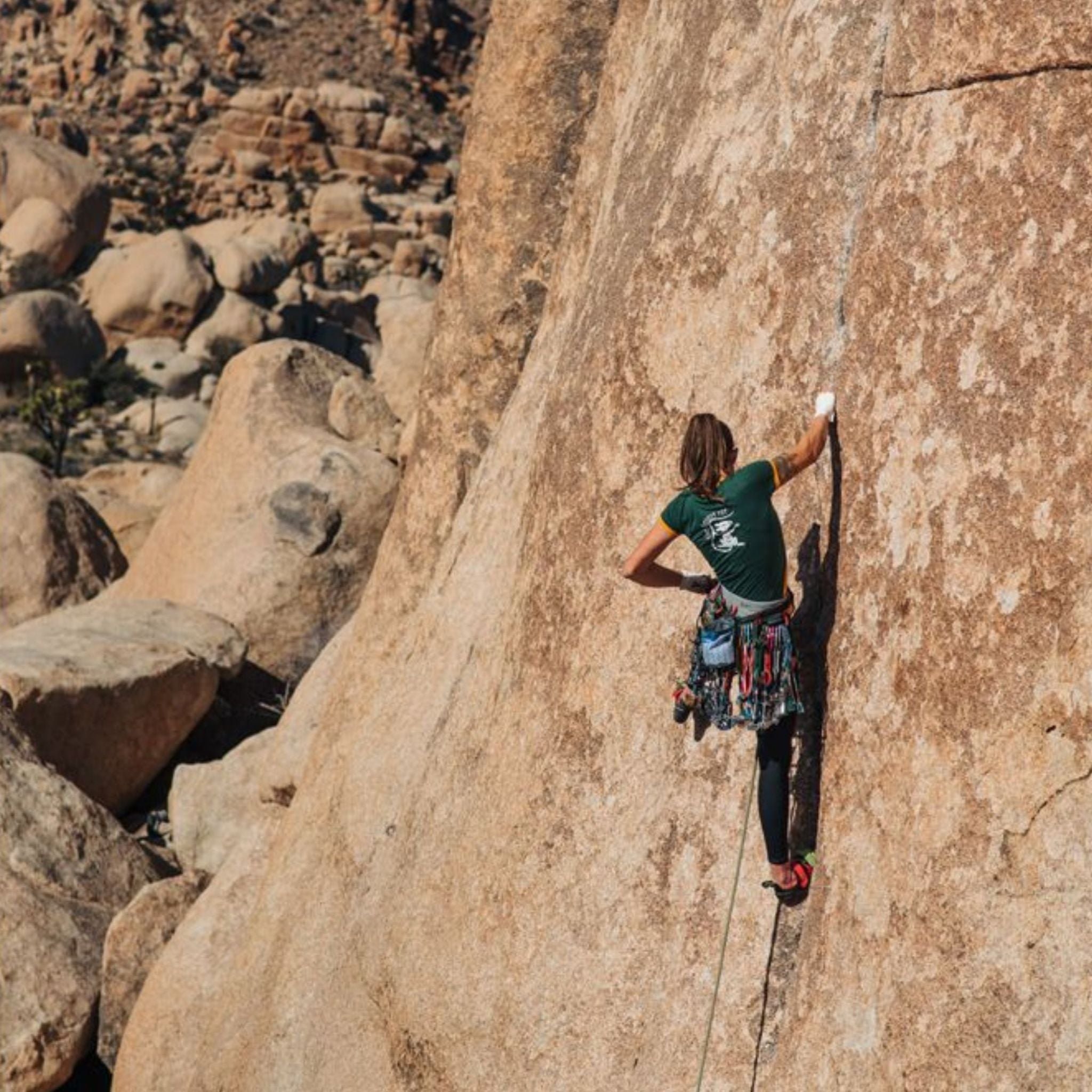 Cypher Mydas Ultra Carabiner - FERAL