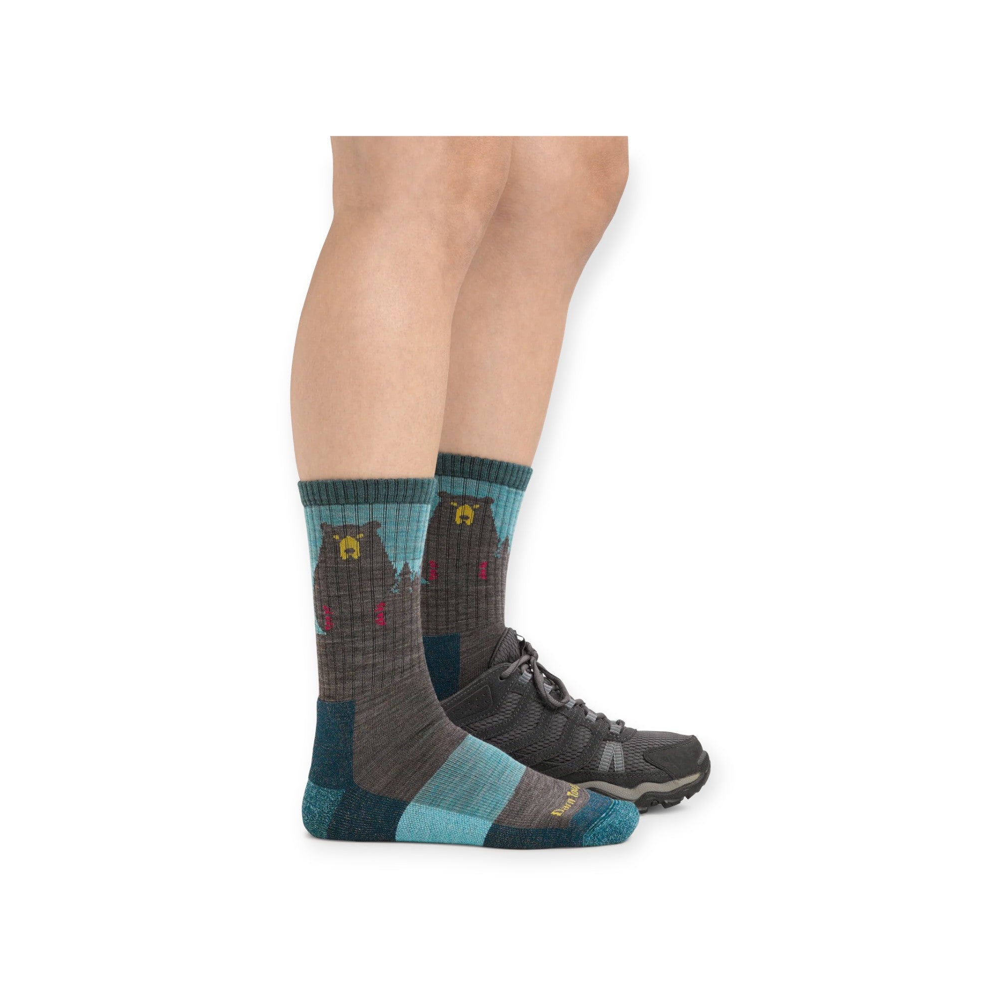 Darn Tough Women's Bear Town Micro Crew Lightweight with Cushion Socks - FERAL