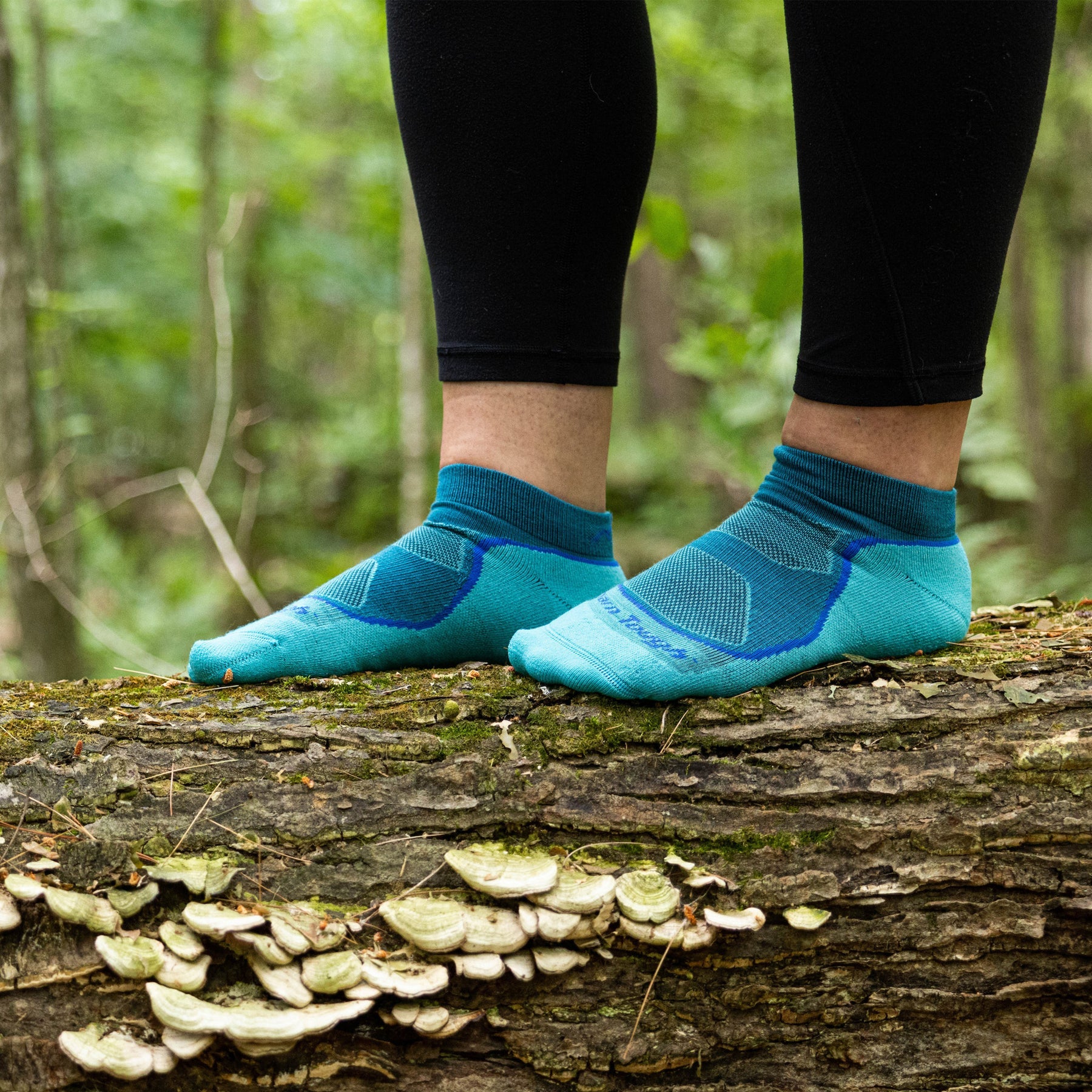 Darn Tough Women's Light Hiker No Show Lightweight with Cushion Socks - FERAL