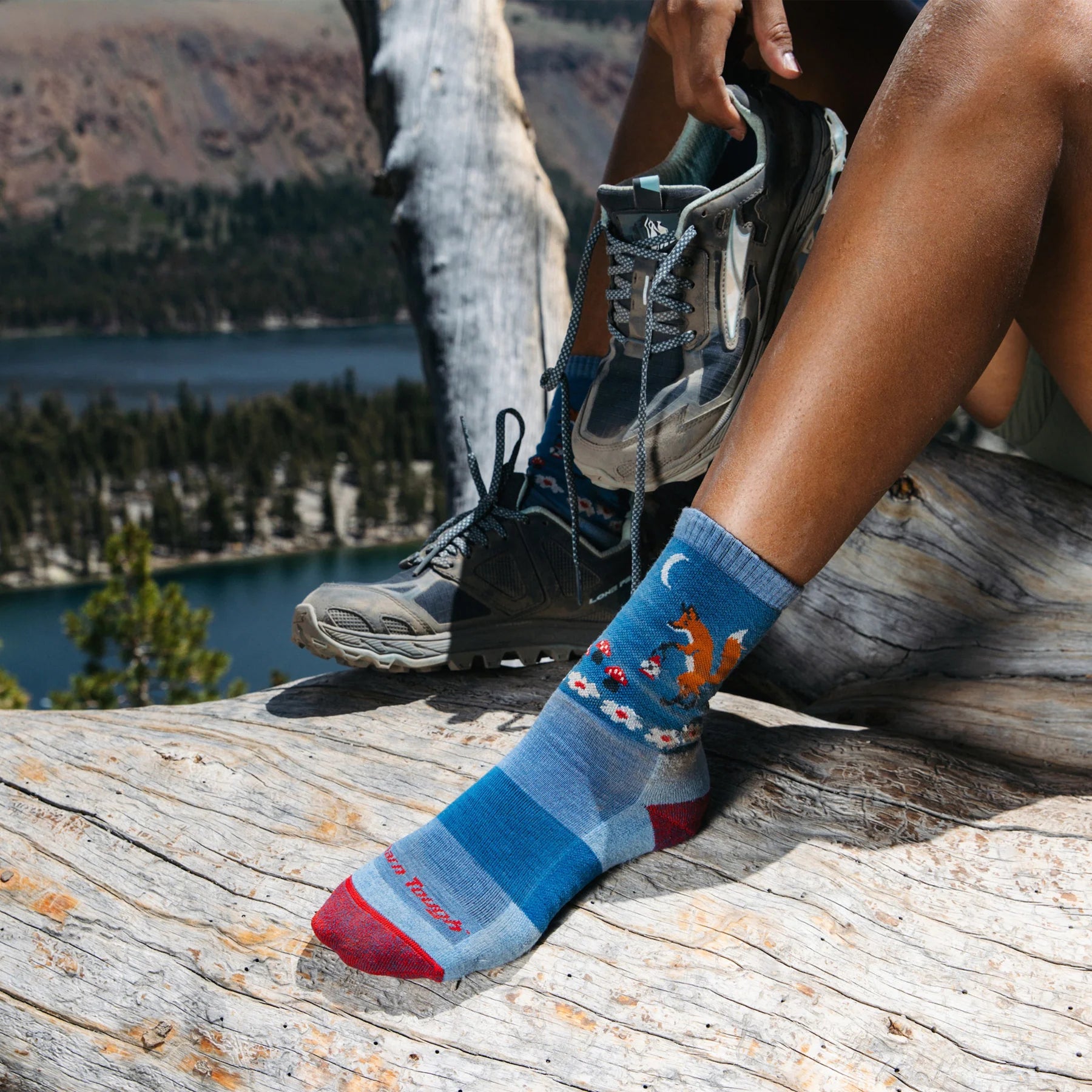 Darn Tough Women's Critter Club Micro Crew Lightweight with Cushions Socks - FERAL