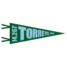 FERAL Torreys Peak Pennant Green | Teal - FERAL