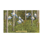 Found Image Colorado Columbines and Aspens CO-02 Postcard - FERAL