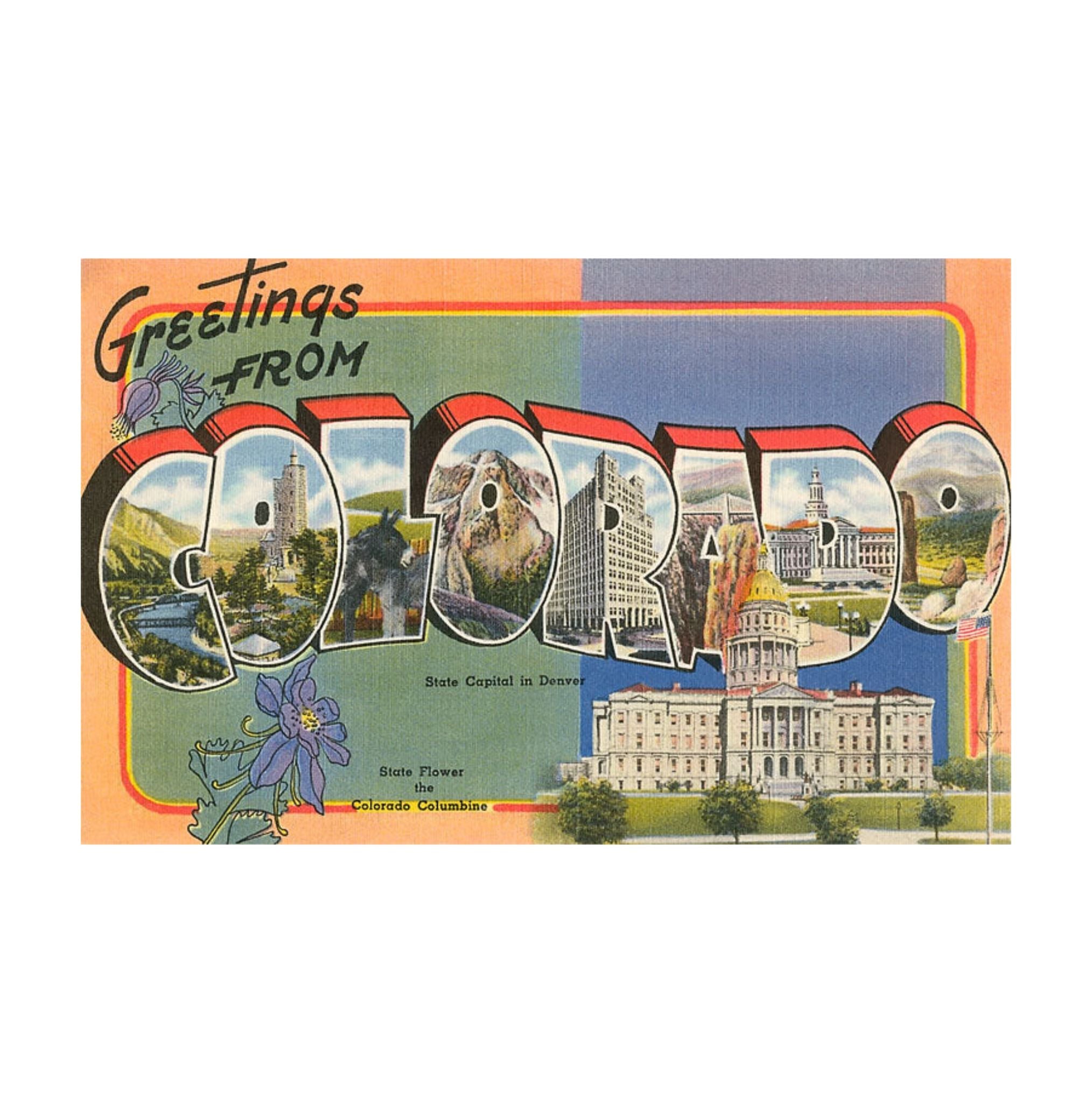 Found Image Greetings From Colorado Postcard CO-274 - FERAL