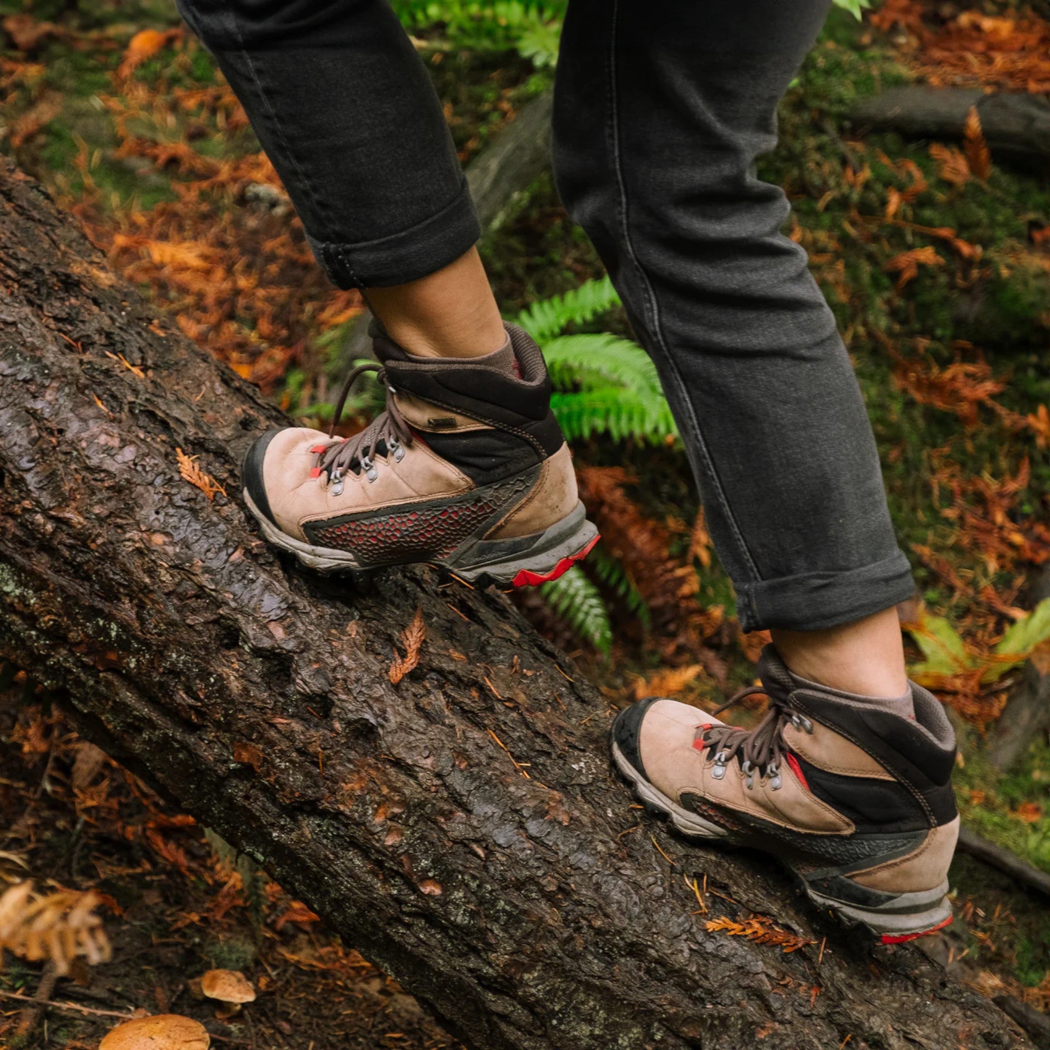 Gear Aid Revivex Suede and Fabric Boot Care Kit - FERAL