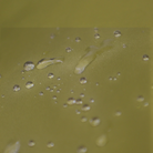 Gear Aid Revivex Wash-In Water Repellant - FERAL