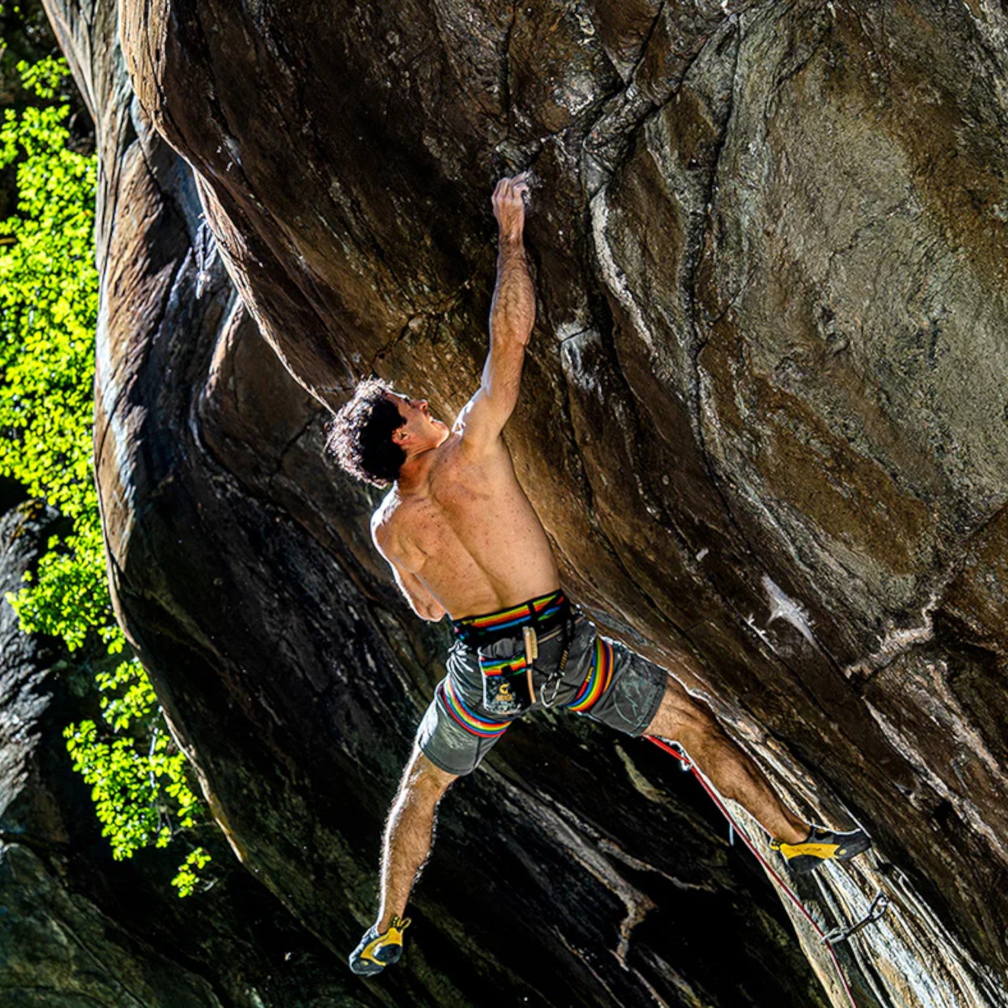 Grivel Trend Climbing Harness - FERAL