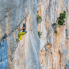 Grivel Trend Climbing Harness - FERAL