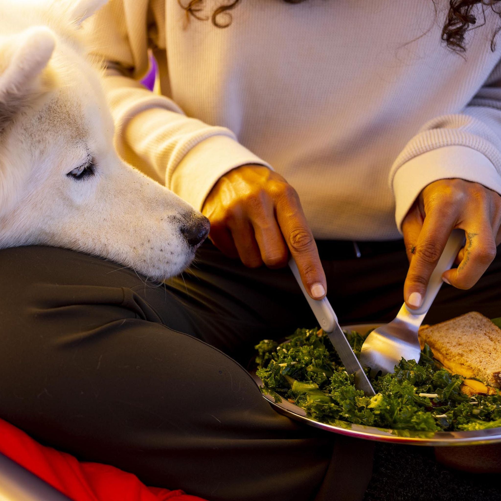 Hydro Flask Camp Plate - FERAL