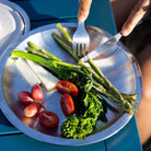Hydro Flask Camp Plate - FERAL