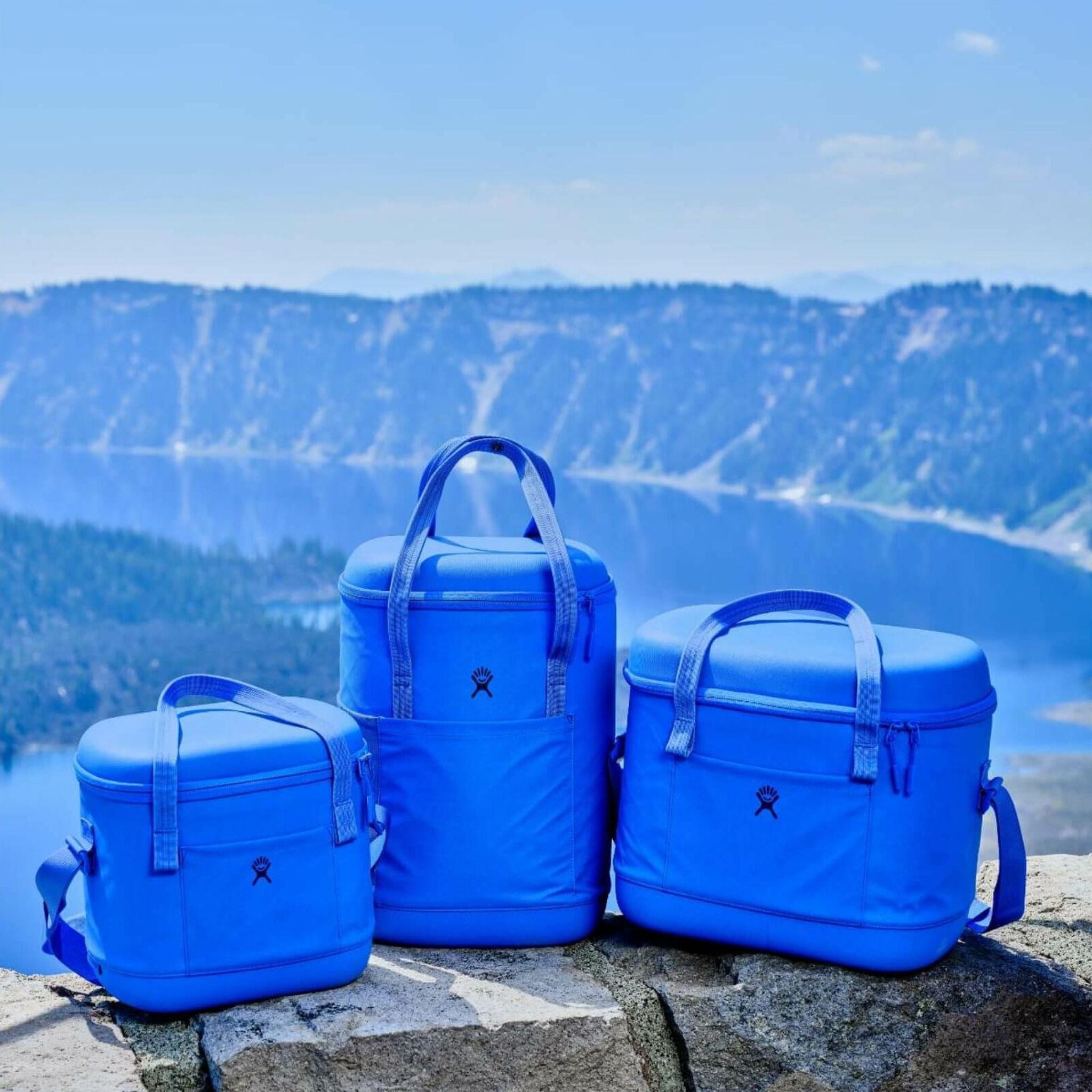 Hydro Flask Carry Out Cooler 20L - FERAL