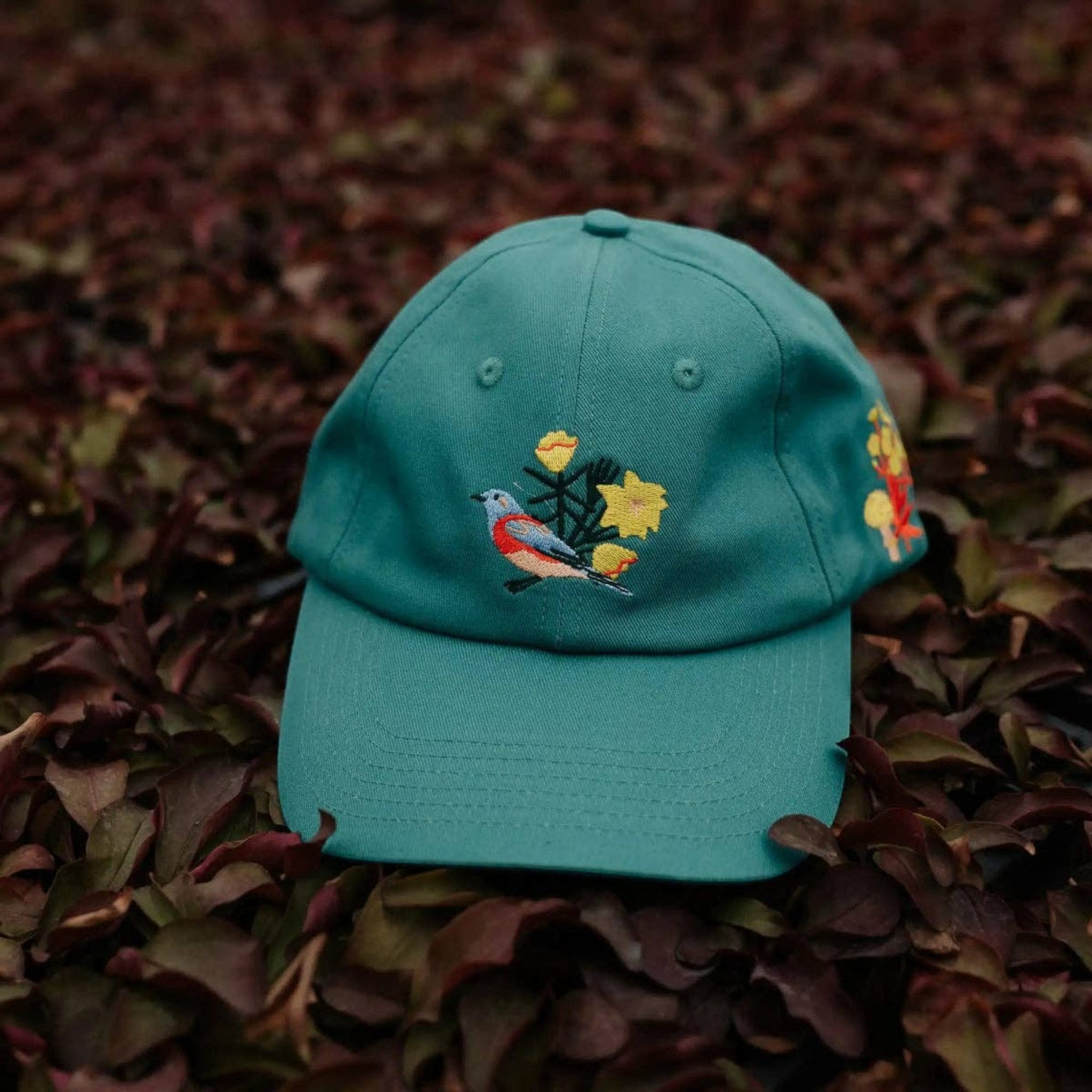 Bird Collective Western Natives Hat - FERAL