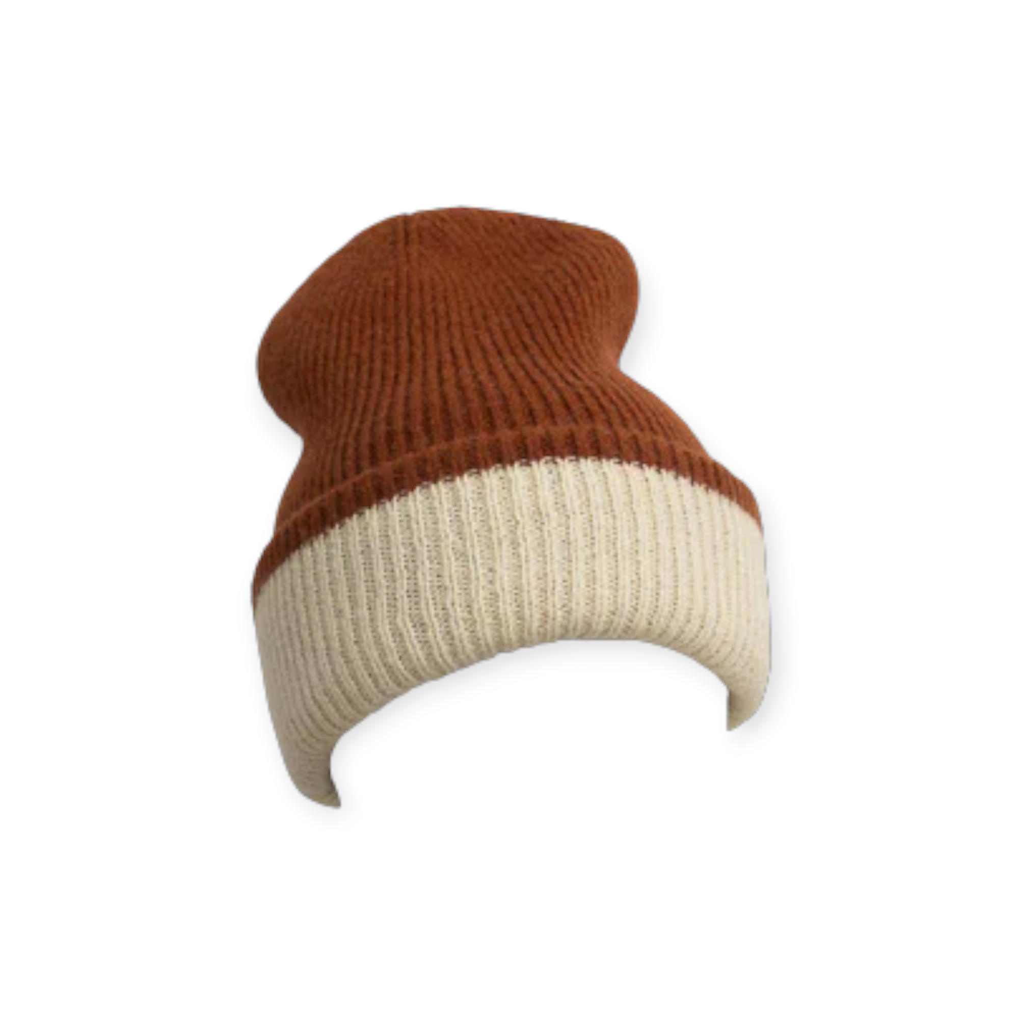Leto Accessories Basic Knit Two Tone Beanie - FERAL